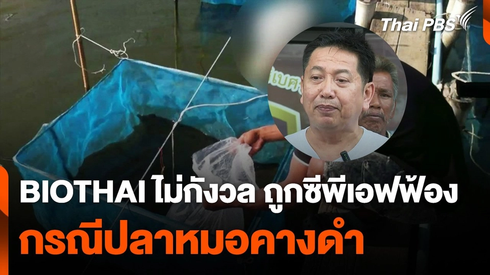 เลขาฯ BIOTHAI ไม่กังวลถูกซีพีเอฟฟ้อง กรณีปลาหมอคางดำ