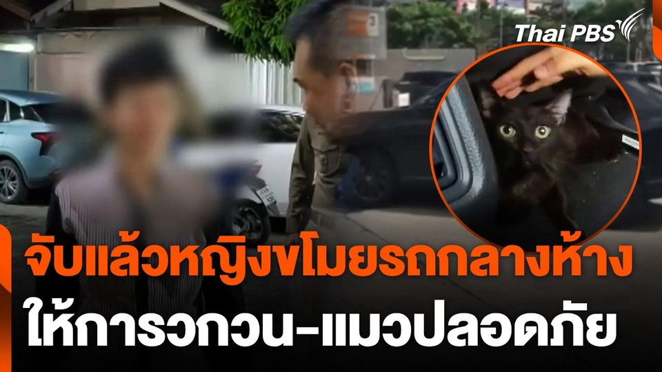 จับแล้วหญิงขโมยรถกลางห้าง ย่านรัชดา ให้การวกวน-แมวปลอดภัย