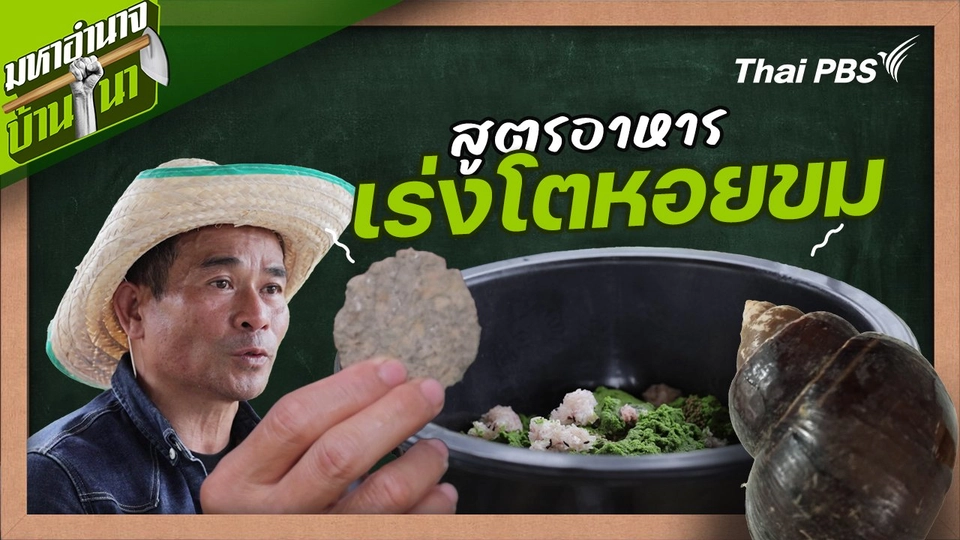 สูตรลับฉบับบ้านนา : สูตรอาหารเร่งโตหอยขม