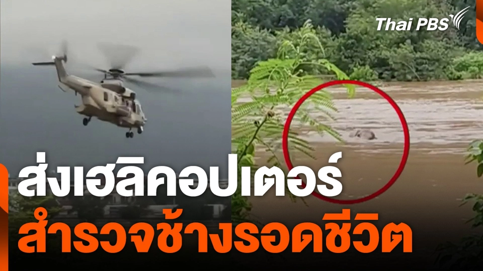 ส่งเฮลิคอปเตอร์ สำรวจช้างรอดชีวิต