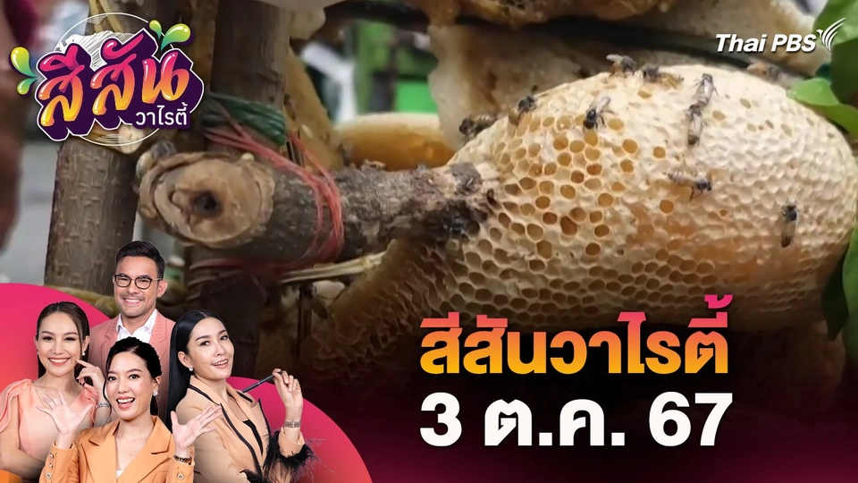 สีสันวาไรตี้ (3 ต.ค. 67)