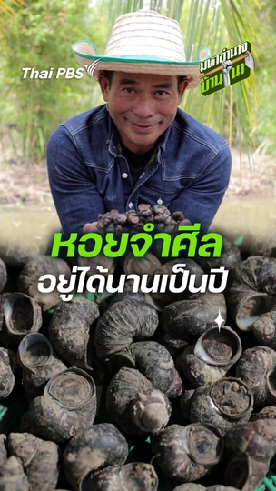 หอยจำศีล อยู่ได้นานเป็นปี