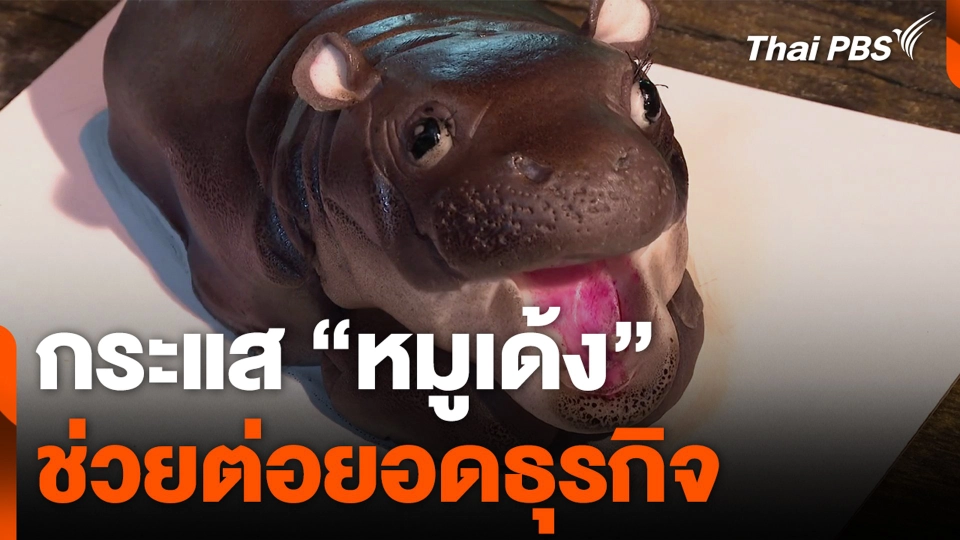 กระแส "หมูเด้ง" ช่วยต่อยอดธุรกิจ