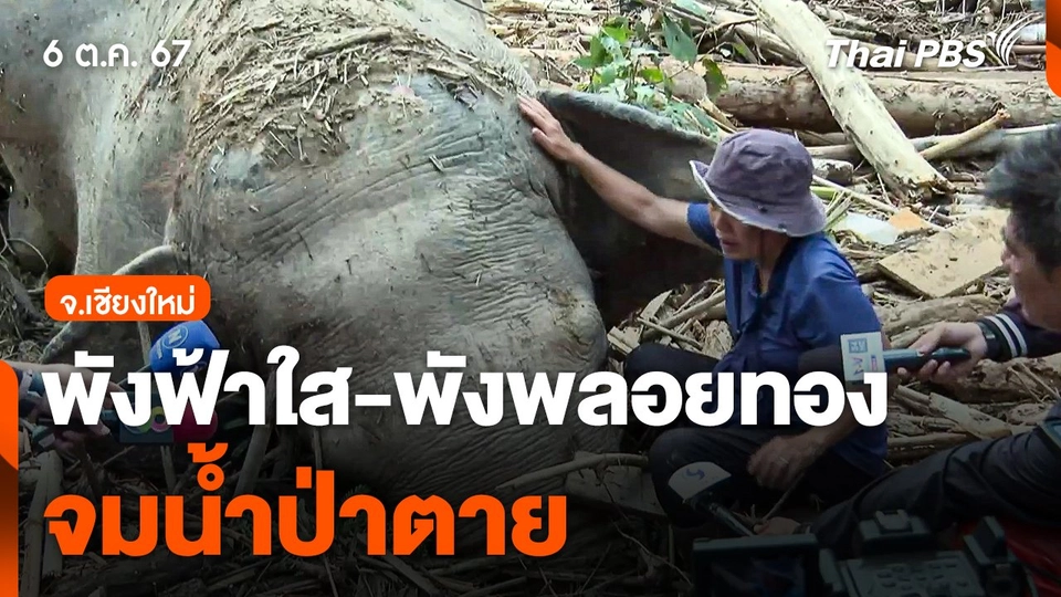 ไร้ปาฏิหาริย์ ! "พังฟ้าใส-พังพลอยทอง" จมน้ำป่าตาย