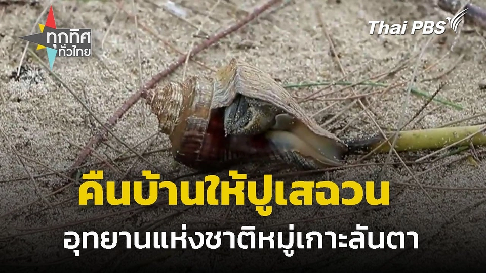 โครงการคืนบ้านให้ปูเสฉวน จ.กระบี่