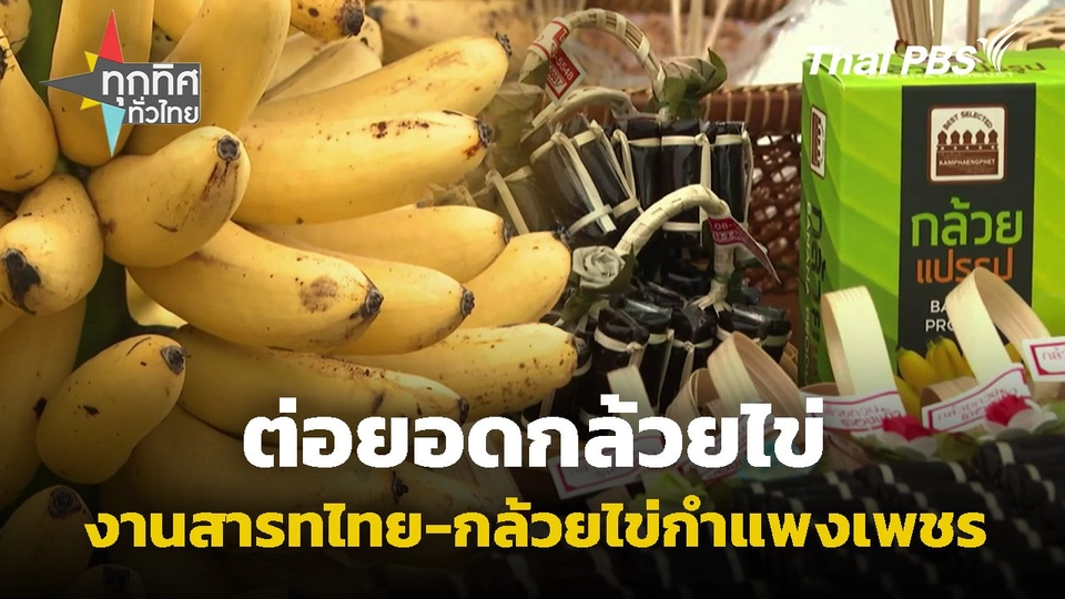 ต่อยอดกล้วยไข่ “งานสารทไทย-กล้วยไข่กำแพงเพชร”
