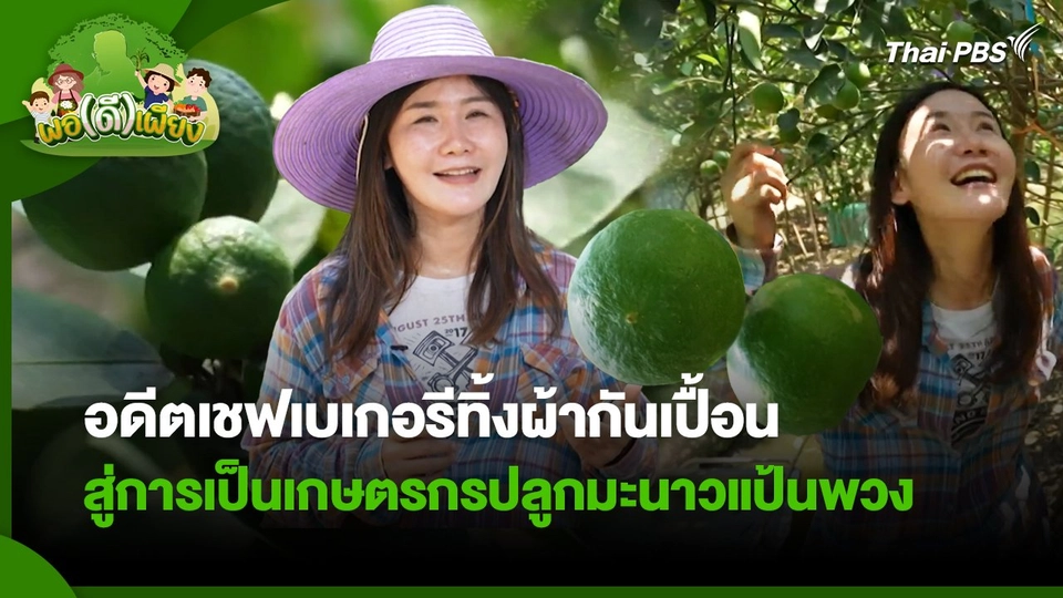 พอดีพอเพียง : อดีตเชฟเบเกอรีทิ้งผ้ากันเปื้อน สู่การเป็นเกษตรกรปลูกมะนาวแป้นพวง