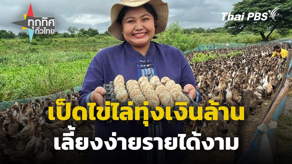 เป็ดไข่ไล่ทุ่งเงินล้าน เลี้ยงง่ายรายได้งาม