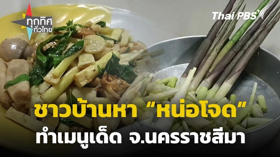 ชาวบ้านหาหน่อโจดทำเมนูเด็ด จ.นครราชสีมา