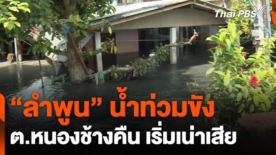 "ลำพูน" น้ำท่วมขัง ต.หนองช้างคืน เริ่มเน่าเสีย