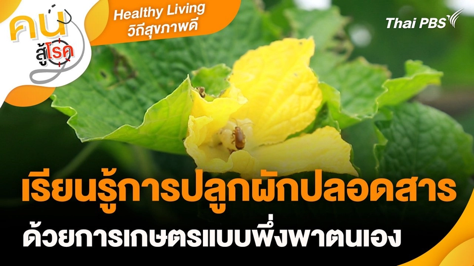 Healthy Living วิถีสุขภาพดี : เรียนรู้การปลูกผักปลอดสารด้วยการเกษตรแบบพึ่งพาตนเอง