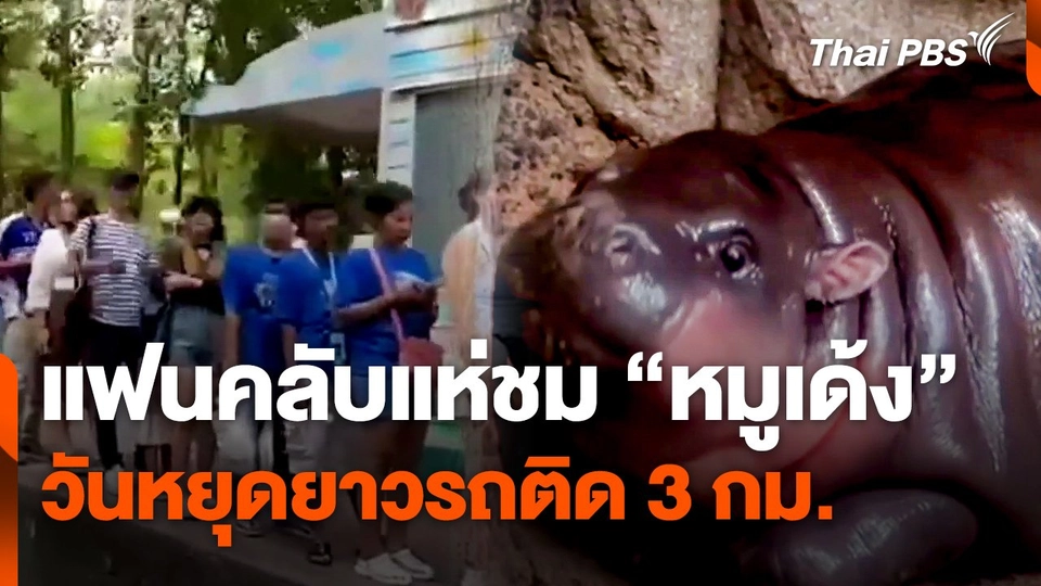 แฟนคลับแห่ชม "หมูเด้ง" วันหยุดยาวรถติด 3 กม.