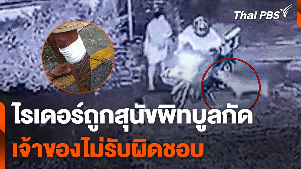 ไรเดอร์ส่งอาหารถูกสุนัขพิทบูลกัด เจ้าของไม่รับผิดชอบ