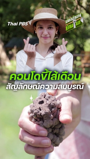 คอนโดขี้ไส้เดือน สัญลักษณ์แห่งความสมบูรณ์