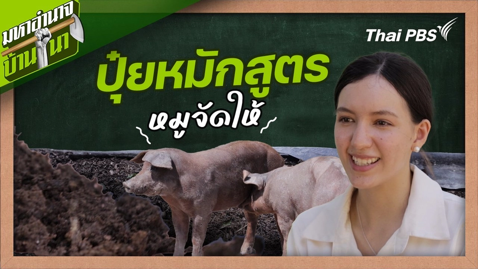 สูตรลับฉบับบ้านนา : ปุ๋ยหมักสูตรหมูจัดให้