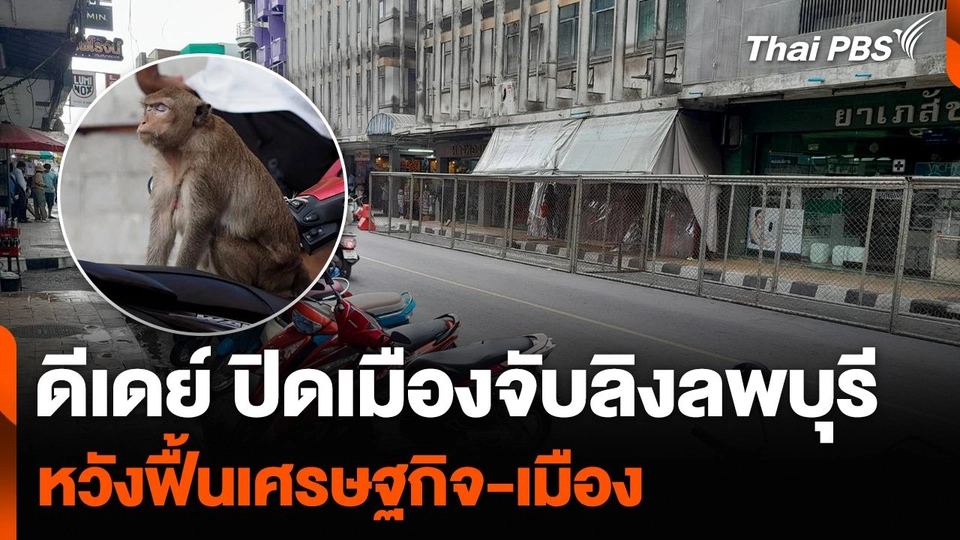ดีเดย์ ปิดเมืองจับลิงลพบุรี หวังฟื้นเศรษฐกิจ-เมือง