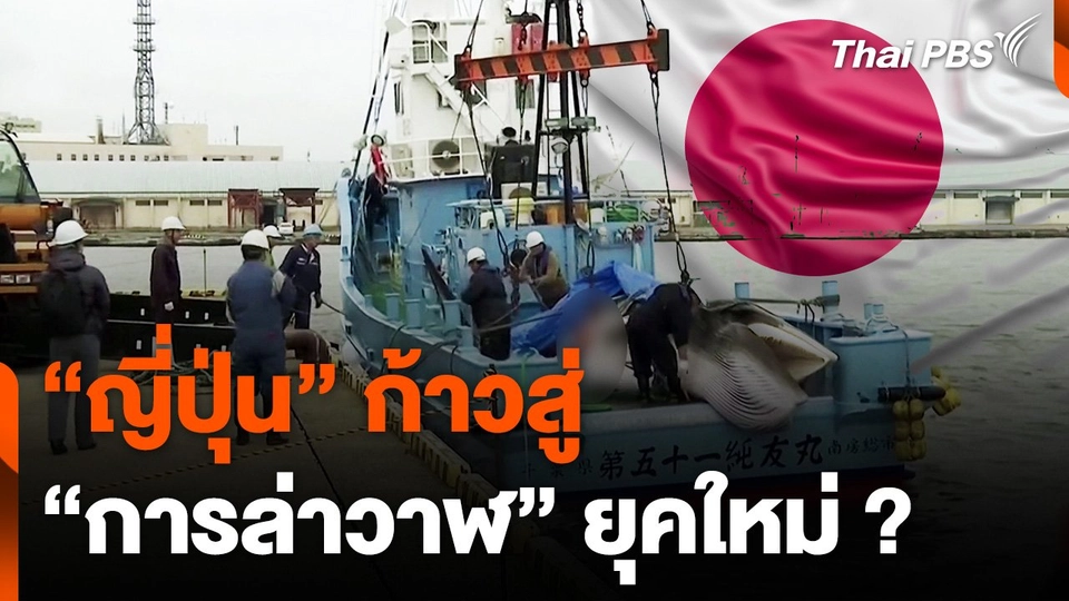 "ญี่ปุ่น" ก้าวสู่ "การล่าวาฬ" ยุคใหม่ ?