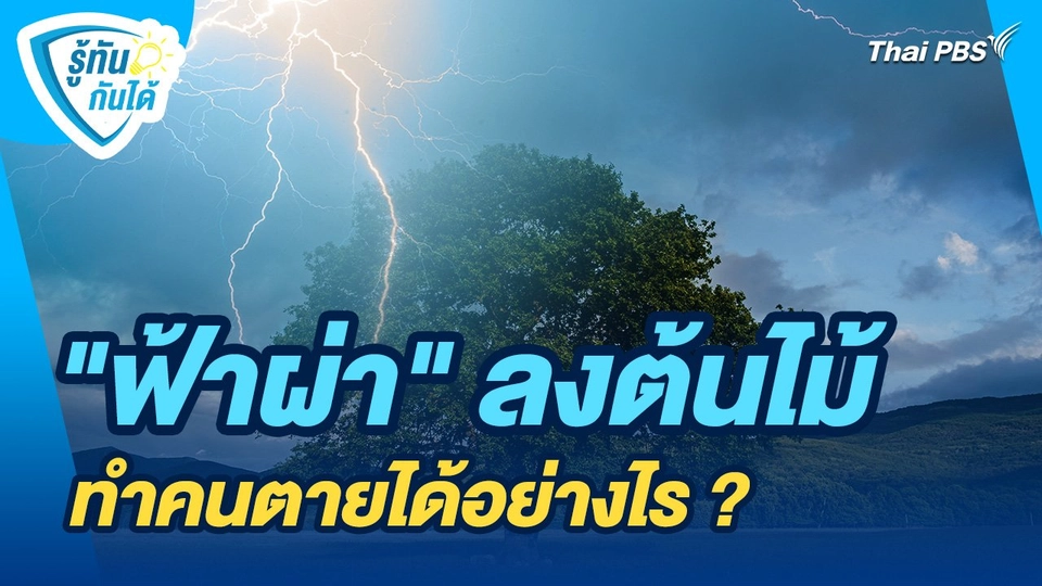 รู้ทันกันได้ : "ฟ้าผ่า" ลงต้นไม้ ทำคนตายได้อย่างไร ?