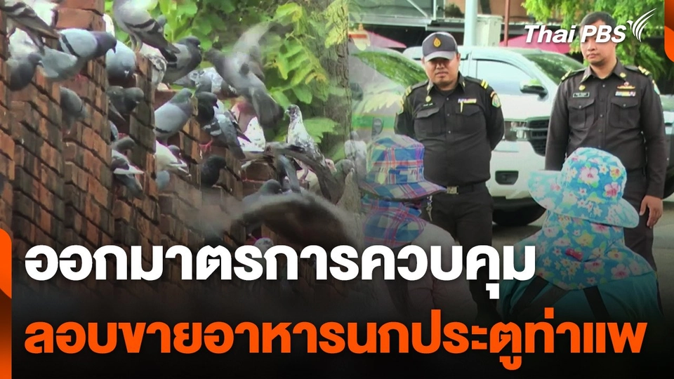 ออกมาตรการควบคุมขายอาหารนกประตูท่าแพ จ.เชียงใหม่