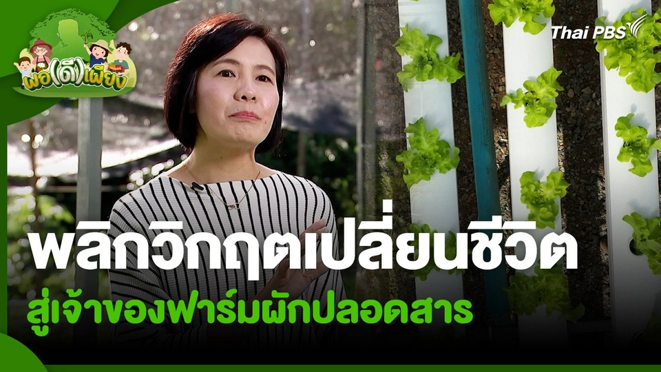 พอดีพอเพียง : พลิกวิกฤตเปลี่ยนชีวิตสู่เจ้าของฟาร์มผักปลอดสาร