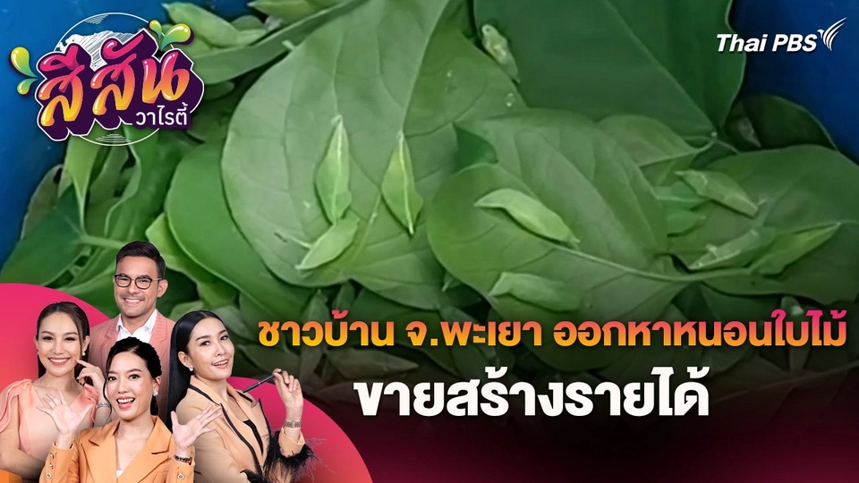 สีสันวาไรตี้ (28 พ.ค 67)