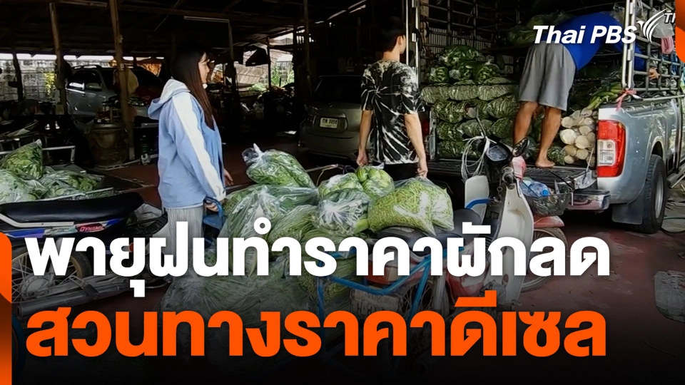 พายุฝนทำราคาผักลด สวนทางราคาดีเซล