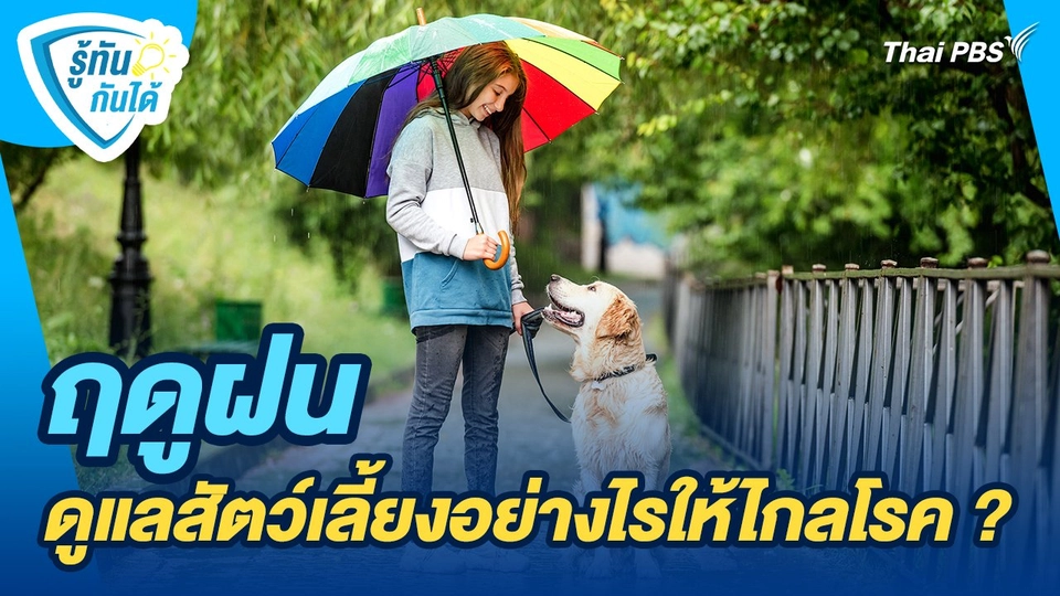 รู้ทันกันได้ : ฤดูฝน ดูแลสัตว์เลี้ยงอย่างไรให้ไกลโรค ?