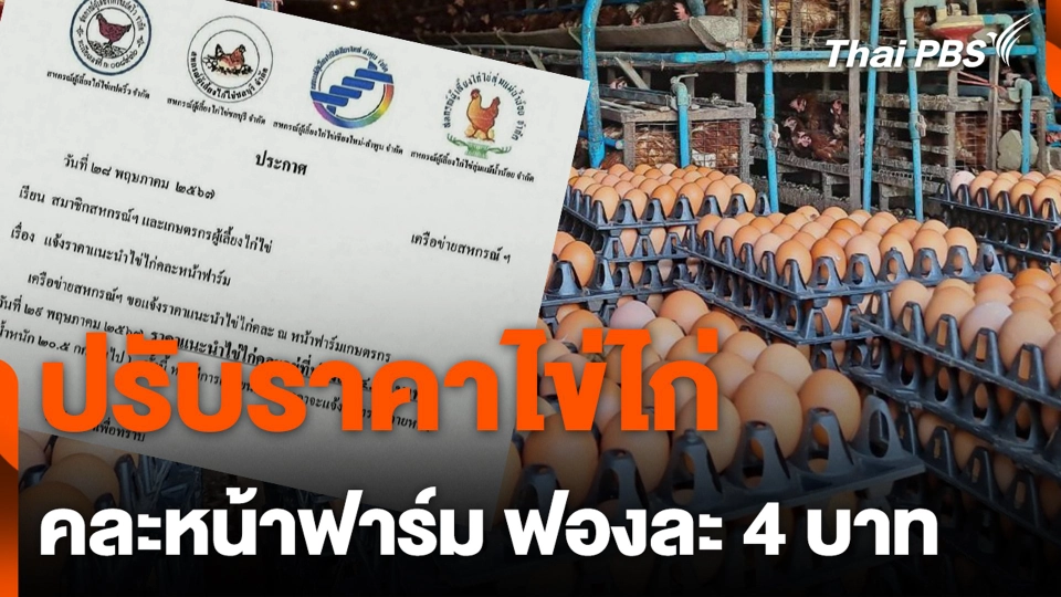 ปรับราคาไข่ไก่ คละหน้าฟาร์ม ฟองละ 4 บาท