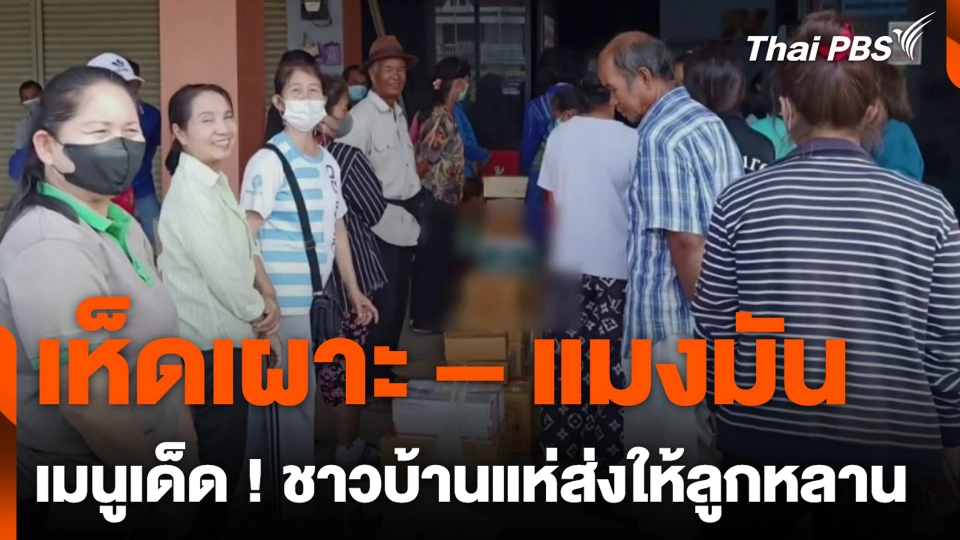 เห็ดเผาะ – แมงมัน เมนูเด็ด ! ชาวบ้านแห่ส่งให้ลูกหลาน