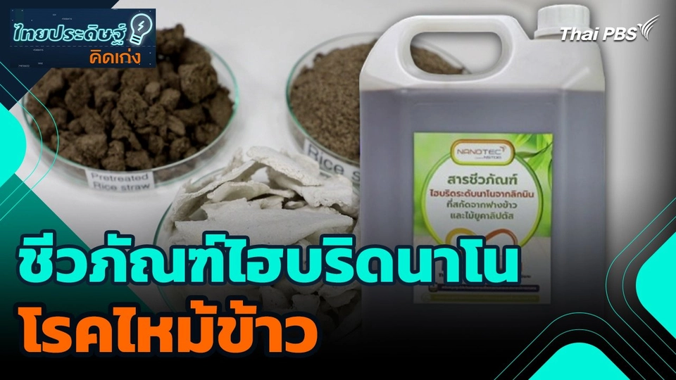 ไทยประดิษฐ์คิดเก่ง : ชีวภัณฑ์ไฮบริดนาโนป้องกันโรคไหม้ข้าว