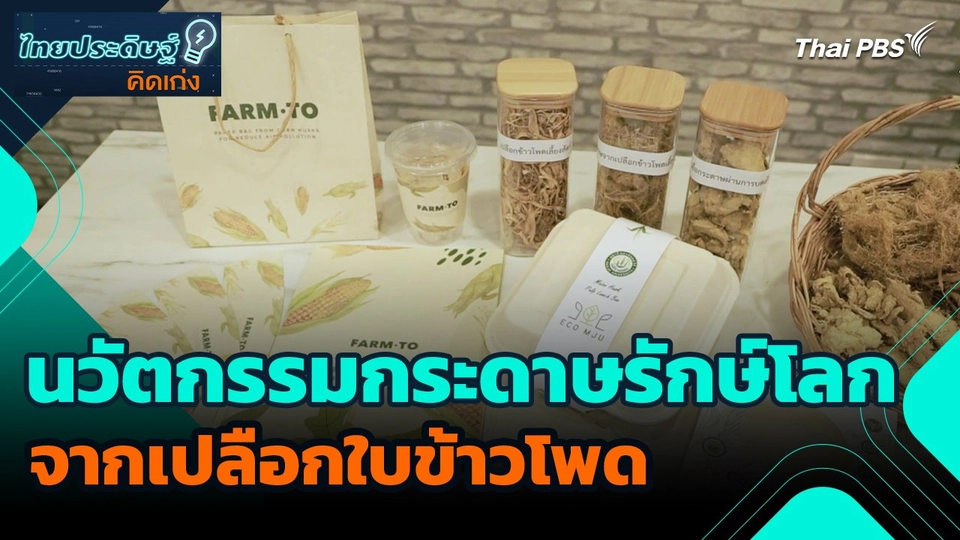 ไทยประดิษฐ์คิดเก่ง : นวัตกรรมกระดาษรักษ์โลกจากเปลือกใบข้าวโพด