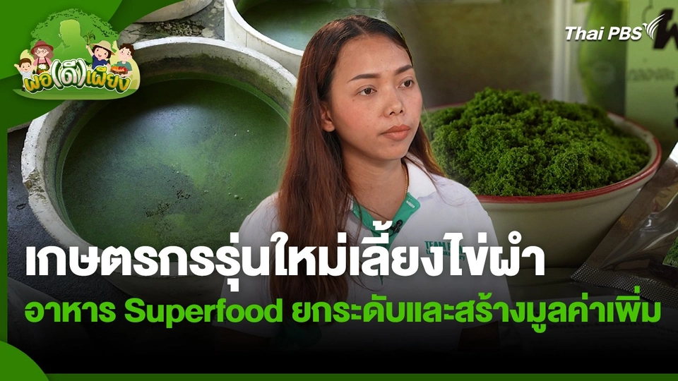 พอดีพอเพียง : เกษตรกรรุ่นใหม่เลี้ยงไข่ผำ อาหาร Superfood ยกระดับและสร้างมูลค่าเพิ่ม