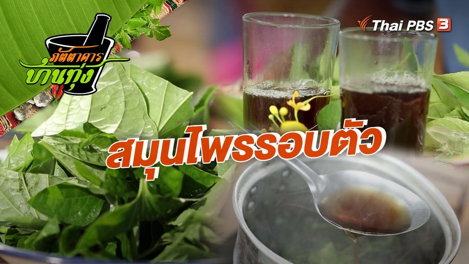 คลิปบ้านทุ่ง : สมุนไพรรอบตัว