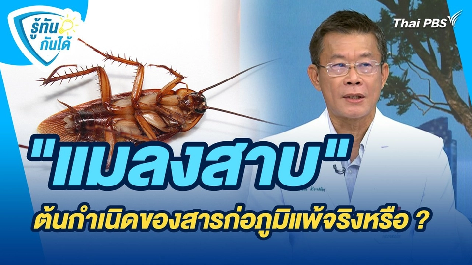 รู้ทันกันได้ : "แมลงสาบ" ต้นกำเนิดของสารก่อภูมิแพ้จริงหรือ ?