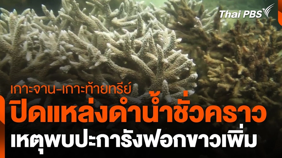 ปิดแหล่งดำน้ำเกาะจาน-เกาะท้ายทรีย์ เหตุพบปะการังฟอกขาวเพิ่ม