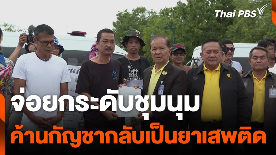 จ่อยกระดับชุมนุม ค้านกัญชากลับเป็นยาเสพติด