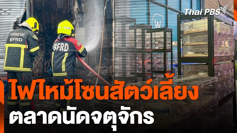 ไฟไหม้โซนสัตว์เลี้ยงตลาดนัดจตุจักร