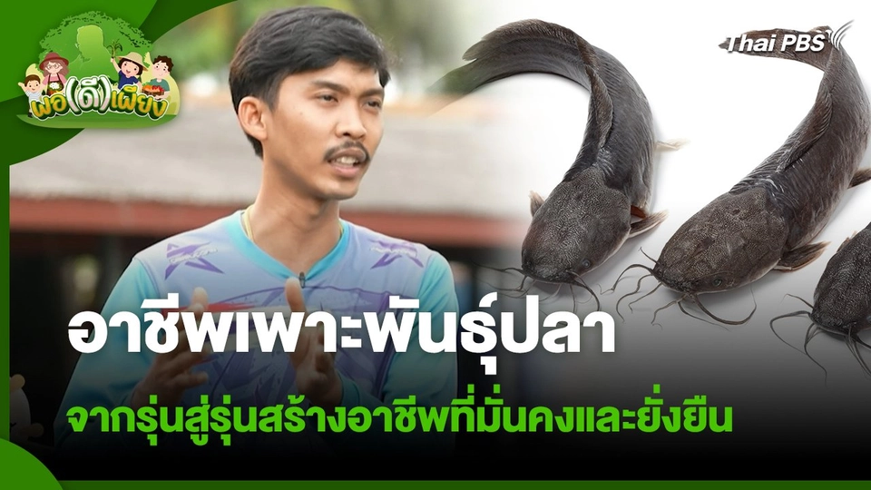 พอดีพอเพียง : อาชีพเพาะพันธุ์ปลา จากรุ่นสู่รุ่นสร้างอาชีพที่มั่นคงและยั่งยืน