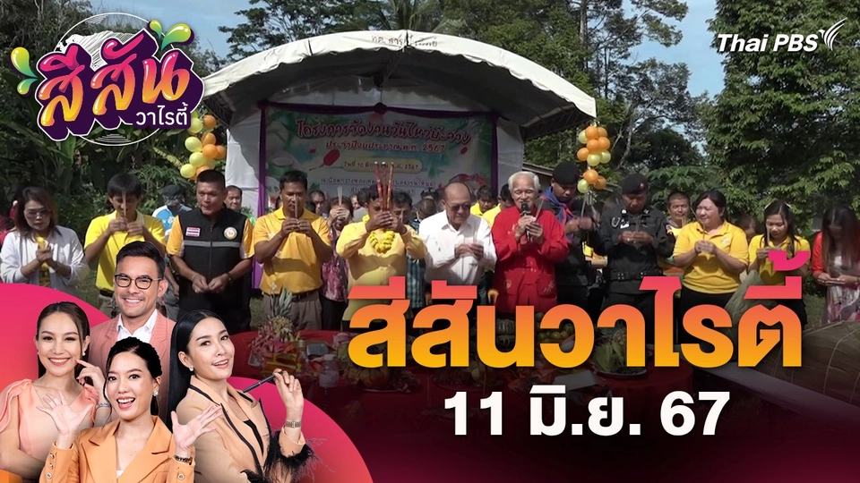 สีสันวาไรตี้ (11 มิ.ย. 67)  : เทศกาลไหว้บ๊ะจ่าง สืบสานอนุรักษ์ประเพณีวัฒนธรรมชาวไทยเชื้อสายจีน-เบตง