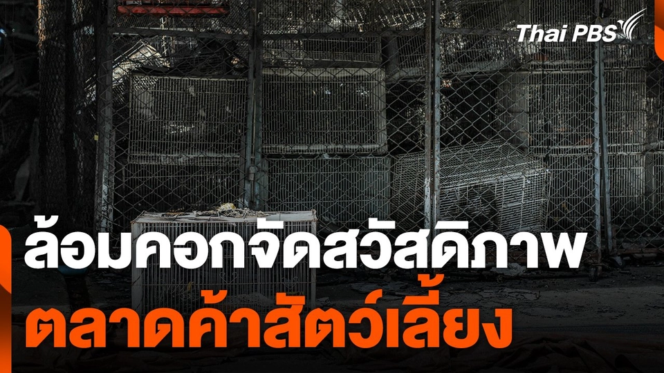 ล้อมคอกจัดสวัสดิภาพตลาดค้าสัตว์เลี้ยง