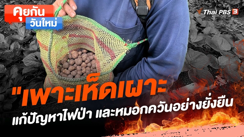 คุยกันวันใหม่ : "เพาะเห็ดเผาะ" แก้ปัญหาไฟป่า และหมอกควันอย่างยั่งยืน
