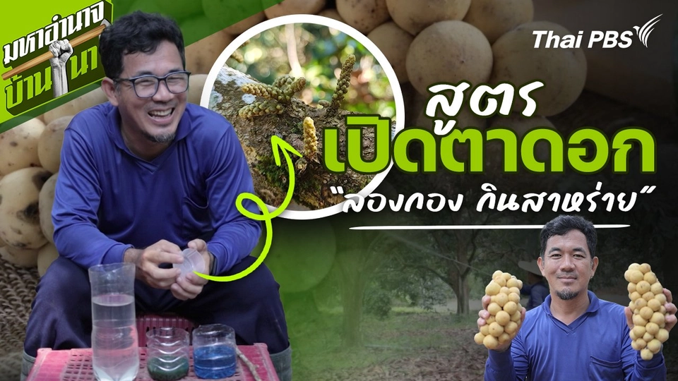 สูตรลับฉบับบ้านนา : สูตรเปิดตาดอก