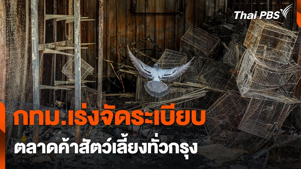 สถานีร้องเรียน : กทม.เร่งจัดระเบียบ ตลาดค้าสัตว์เลี้ยงทั่วกรุง