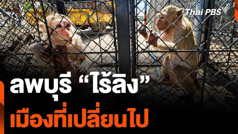 ลพบุรี “ไร้ลิง” เมืองที่เปลี่ยนไป