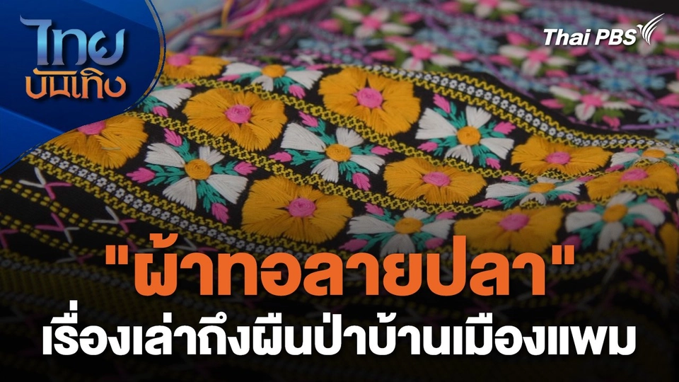 หัวใจในลายผ้า : "ผ้าทอลายปลา" เรื่องเล่าถึงผืนป่าบ้านเมืองแพม
