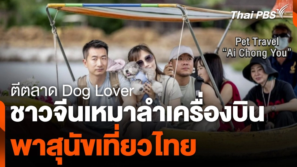 นักท่องเที่ยวจีน เหมาลำเครื่องบินพาสุนัขเที่ยวไทย