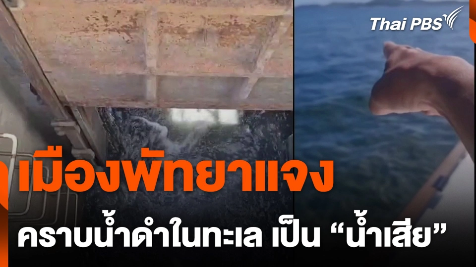 เมืองพัทยาแจง คราบน้ำดำในทะเล เป็น “น้ำเสีย”