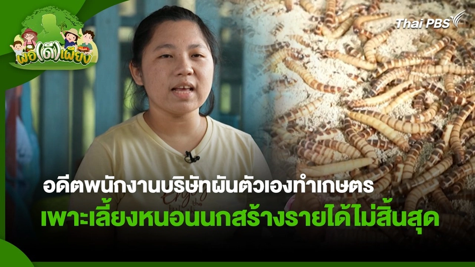 พอดีพอเพียง : อดีตพนักงานบริษัทผันตัวเองทำเกษตรเพาะเลี้ยงหนอนนกสร้างรายได้ไม่สิ้นสุด