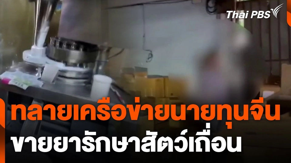 ทลายเครือข่ายนายทุนจีนขายยาสัตว์เถื่อน