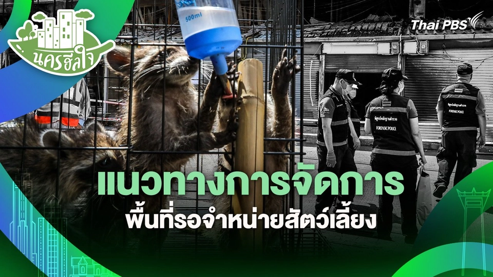 นครฮีลใจ : แนวทางการจัดการพื้นที่รอจำหน่ายสัตว์เลี้ยง